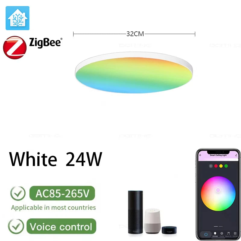 Zigbee 3.0 Smart Ceiling Lights 24W Led Ceiling Lamp RGBCW Led Work with Alexa Google Voice Control APP Dimming Home Assistant