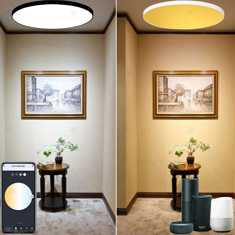 Zigbee 3.0 Smart Ceiling Lights 24W Led Ceiling Lamp RGBCW Led Work with Alexa Google Voice Control APP Dimming Home Assistant